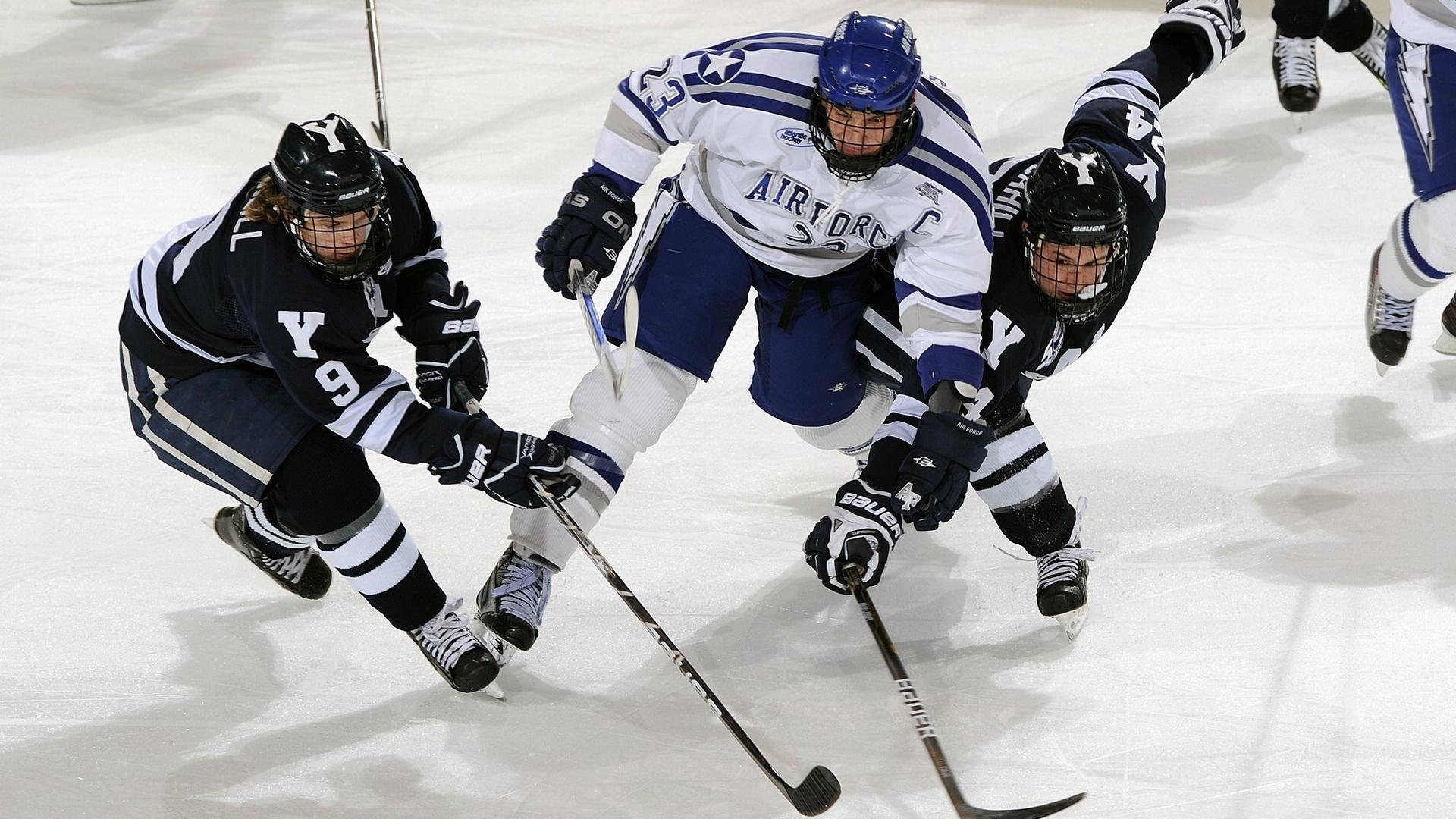 球迷组织发起大型助威活动